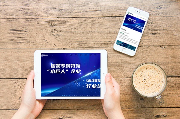 無錫營銷型網(wǎng)站建設 無錫營銷型網(wǎng)站建設