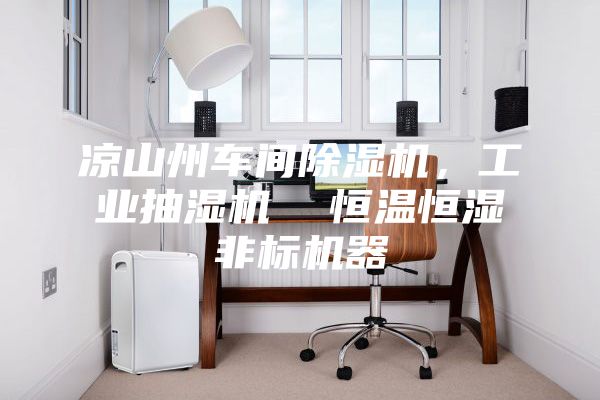涼山州車間除濕機，工業抽濕機  恒溫恒濕非標機器