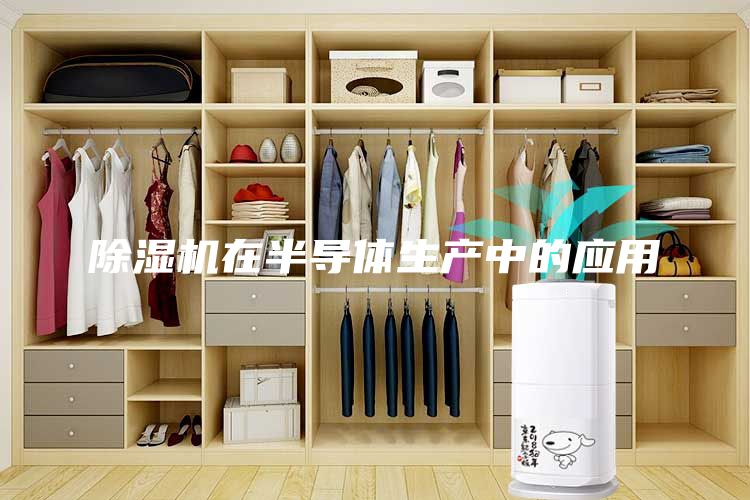 除濕機在半導體生產中的應用